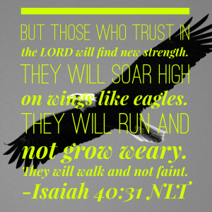 58819C69-802F-451E-961A-34016DD0A2C8